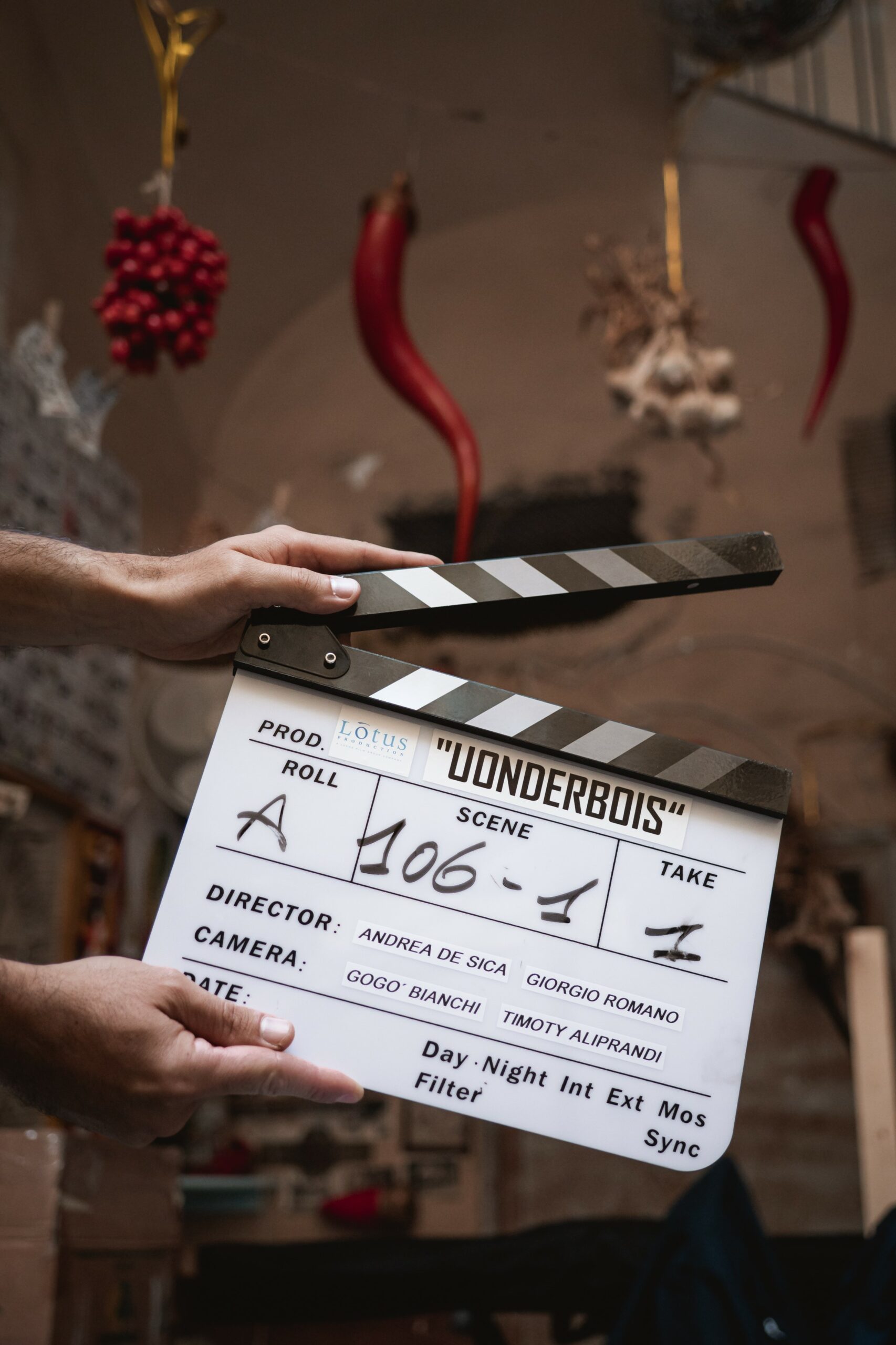 Iniziate le riprese della nuova serie originale Disney+ “Uonderbois”